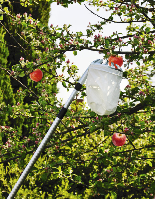 Fruktplukker med beholder - Garden